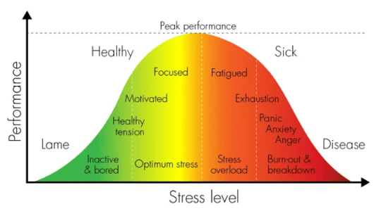 Performance and stress